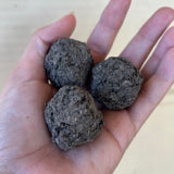 Australian Native Seed Bombs