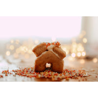 Gingerbread House Eco Cutter Set