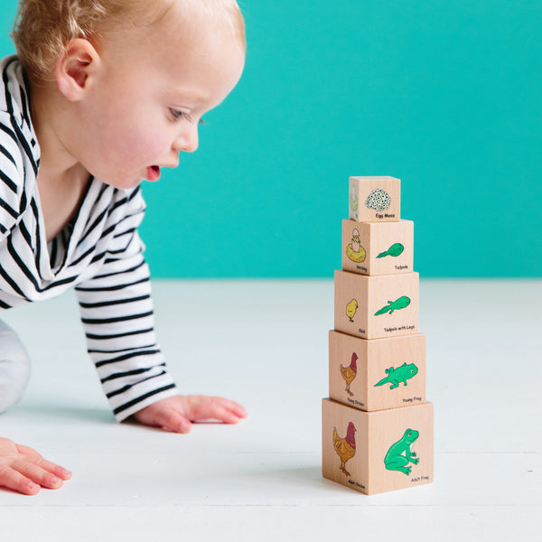 Lifecycle Wooden Blocks