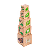 Lifecycle Wooden Blocks