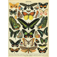 Vintage Poster/Gift Wrap | Butterflies