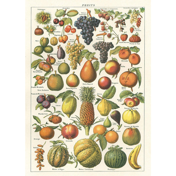 Vintage Poster/Gift Wrap | Fruit