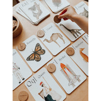 Around the World Phonics and Sounds Flashcards