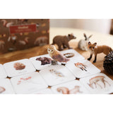 Woodland Memory Card Game