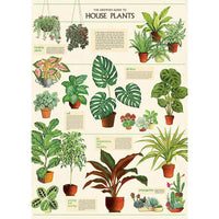 Vintage Poster/Gift Wrap | House Plants