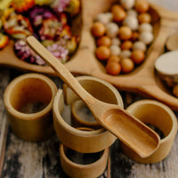 Explore Nook Bamboo Long Handle Scoop