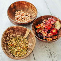 Explore Nook Coconut Natural Bowl