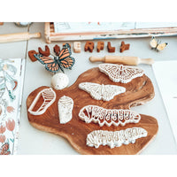 Monarch Butterfly Lifecycle Eco Cutter Set (Set of 3)