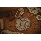 Monarch Butterfly Lifecycle Eco Cutter Set (Set of 3)