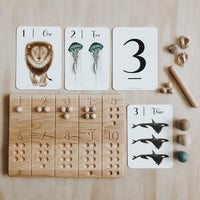 Nature's 123 Flashcards