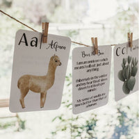 Nature's ABC Flashcards