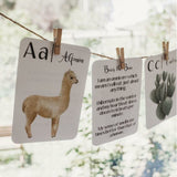 Nature's ABC Flashcards