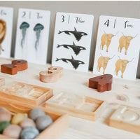 Nature's 123 Flashcards