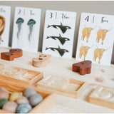Nature's 123 Flashcards
