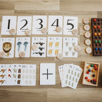 Nature's 123 Flashcards