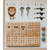 Nature's 123 Flashcards