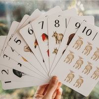 Nature's 123 Flashcards