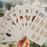 Nature's 123 Flashcards