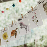 Nature's ABC Flashcards