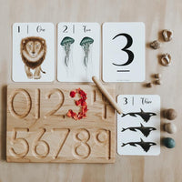 Nature's 123 Flashcards