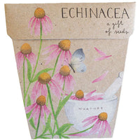 Echinacea | Gift of Seeds