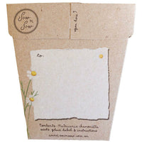 Chamomile | Gift of Seeds