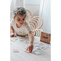 Africa Memory Card Game